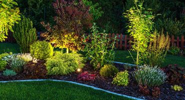 The Benefits of Professionally Installed Landscape Lighting
