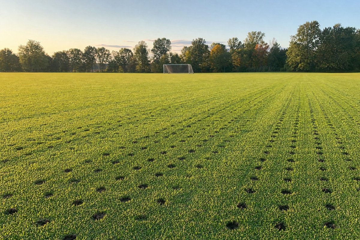 Athletic Field Maintenance in Binghamton NY | A Great Choice