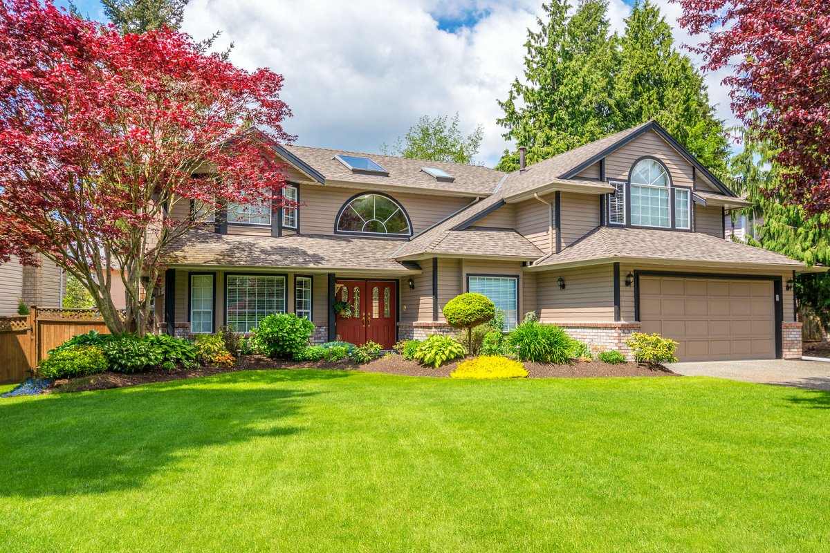Why June Is Critical for Weed Control | A Great Choice Lawn Care