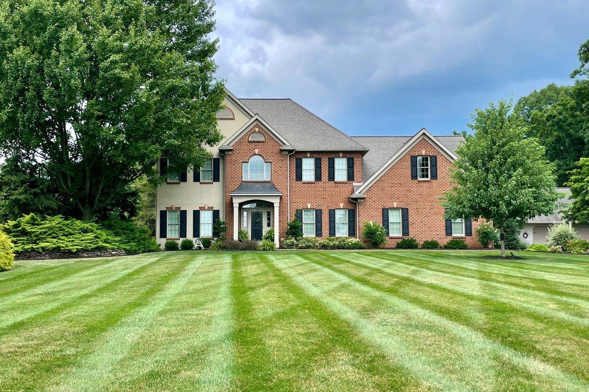 Spring Lawn Seeding in Greater Binghamton | A Great Choice