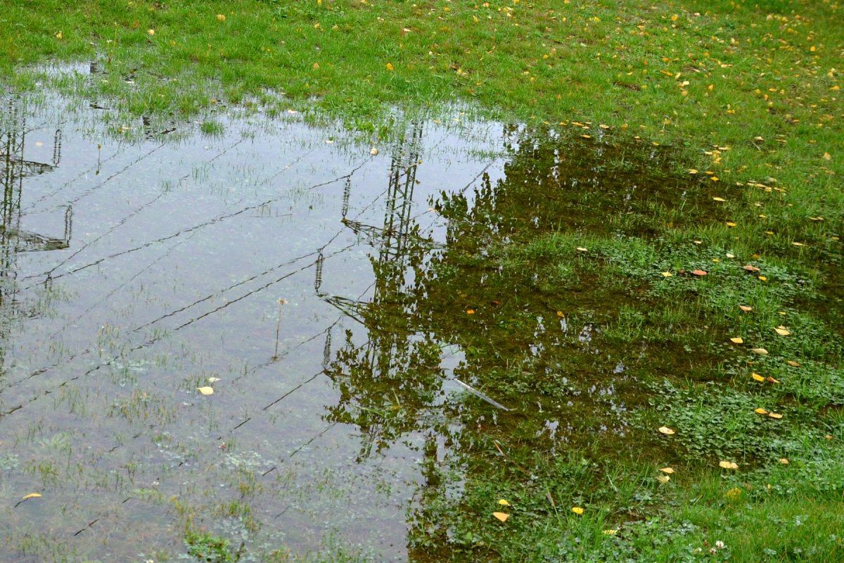 Yard Drainage Problems in Greater Binghamton | A Great Choice
