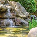 backyard water feature landscaping