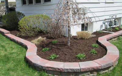 Horticulture / Planting