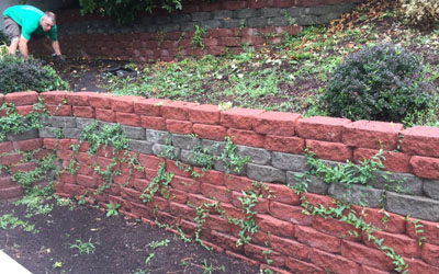 Landscape Maintenance