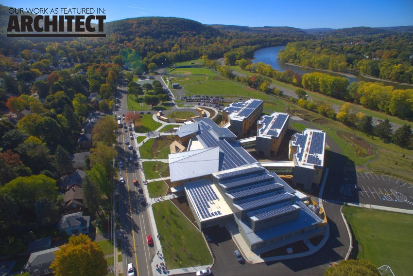 Binghamton School Landscaping