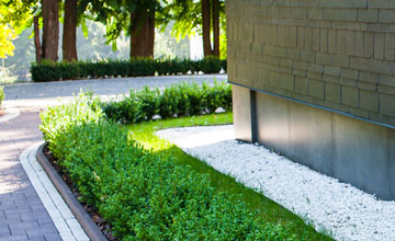 Commercial Landscaping Services