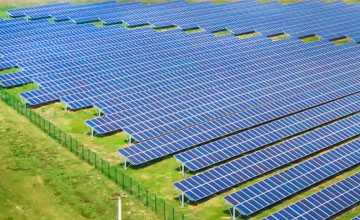 Commercial Solar Field Mowing/Maintenance