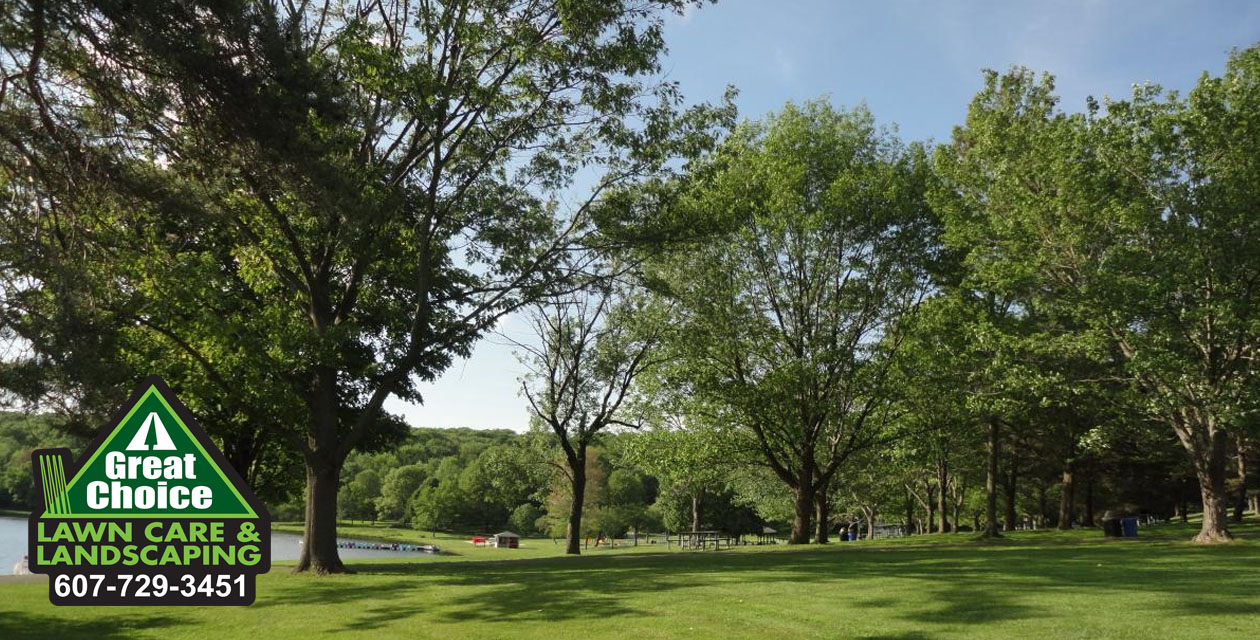 Richford NY Lawn Care & Landscaping